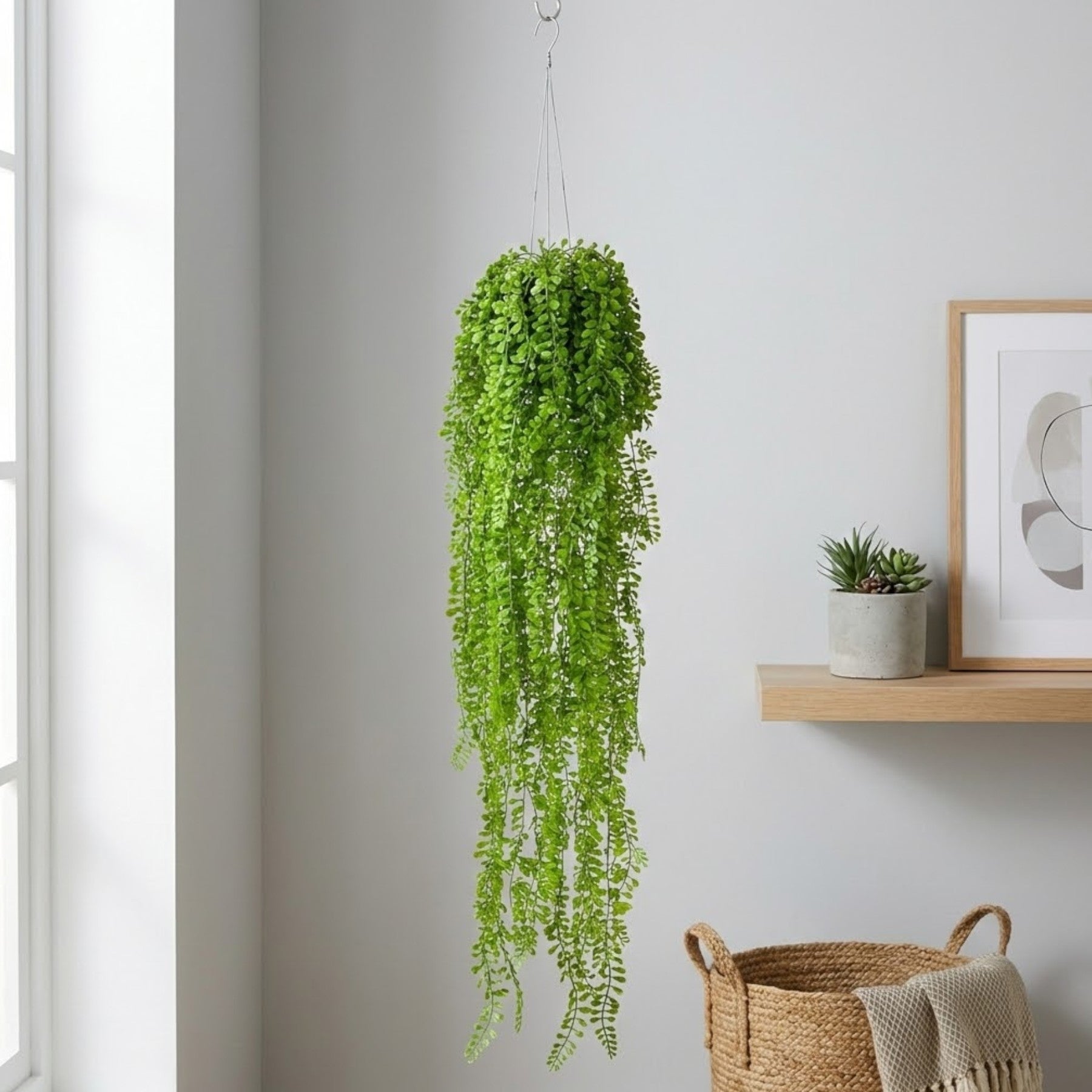 Hanging Airplant Vine Arrangement
