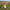 Lunaria Magic Mushroom Solar Stake Light