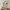 Relica Ivory Wavy Wall Mirror